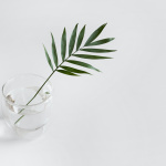 Related article thumbnail